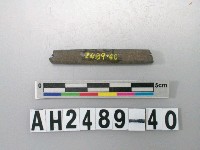 藏品(磨製石針)的圖片